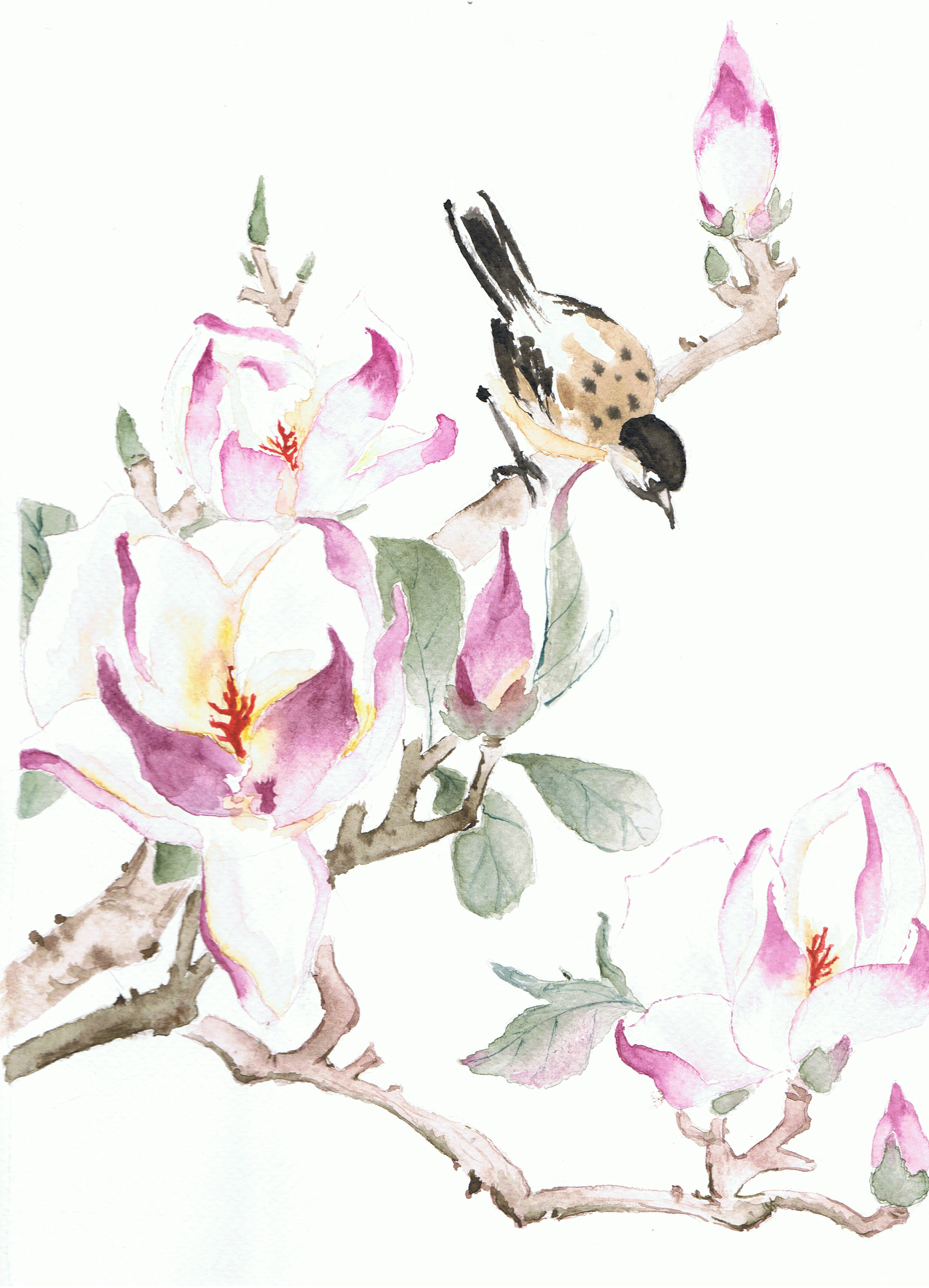 L'oiseau de Frederique L'oiseau de Frederique